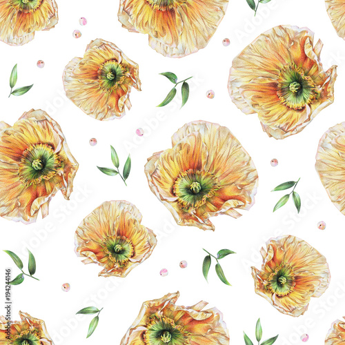Seamless floral pattern with yellow poppies, green leaves of ruscus and hypericum berries on white. Spring flowers. Botanical natural background drawn by hand with colored pencil