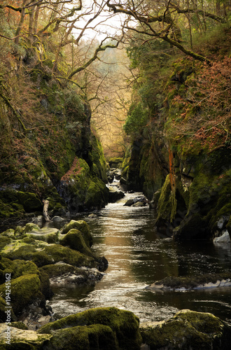 Ffos Anoddun, Fairy Glen Gorge and rapids on the Conwy river at Betws-y-coed