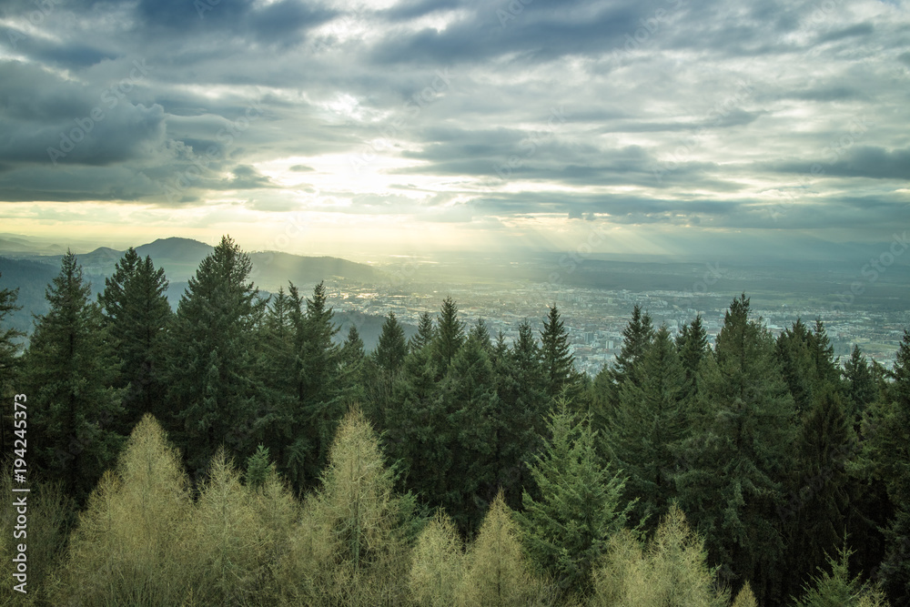 Aussicht über den Wald und Freiburg vom Rosskopf
