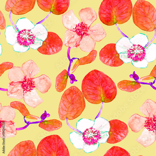 Male and female kiwifruits flowers  seamless pattern design in red color palette  hand painted watercolor illustration  soft yellow background