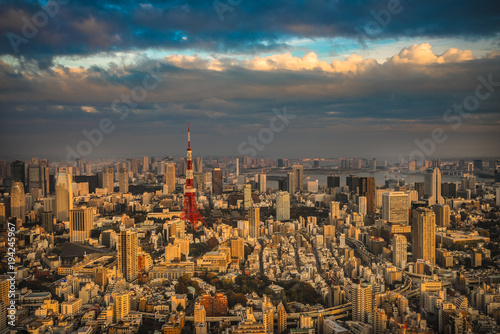 Tokyo aerial panoramic view