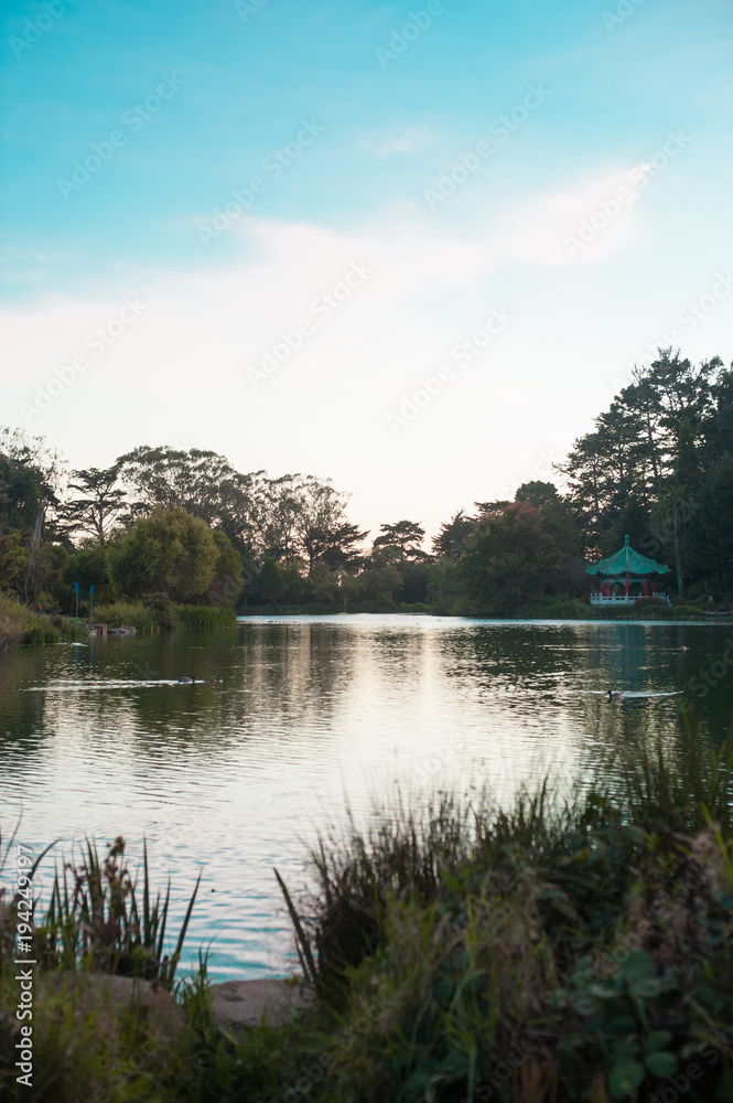 Japanese Park and Reflection