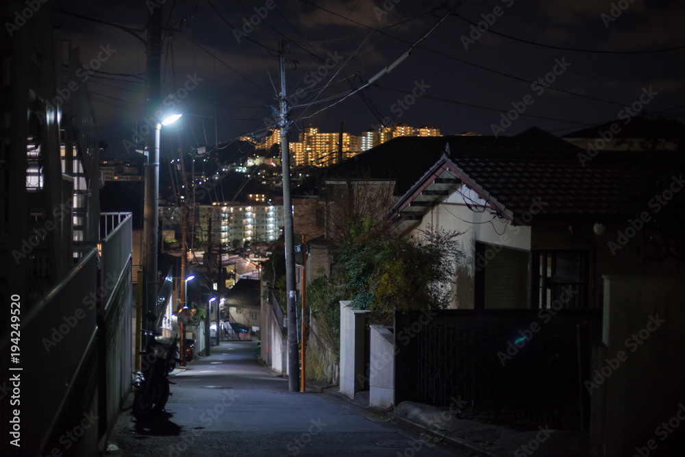 Night Street in Japan