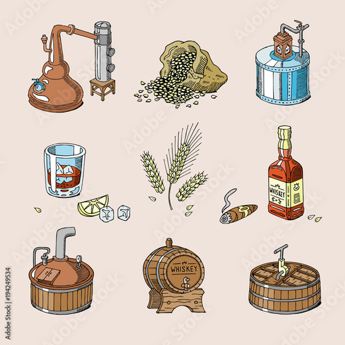 Whiskey vector alcohol beverage brandy in glass and drink scotch or bourbon in bottle illustration set of distillation isolated on background