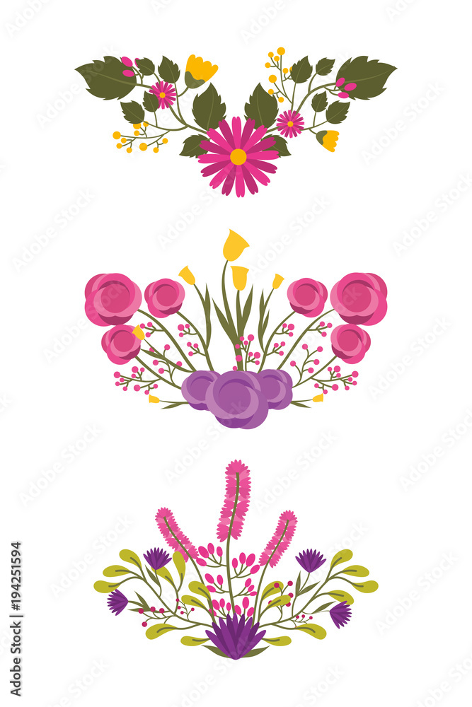 set of detailed beautiful bunches of flowers vector illustration Stock