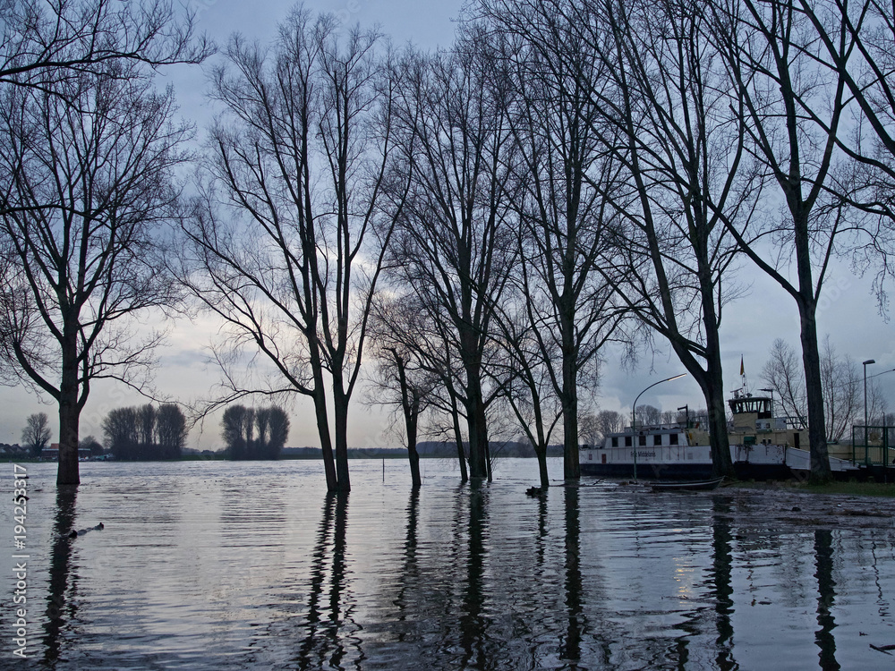 Hochwasser Köln 2018