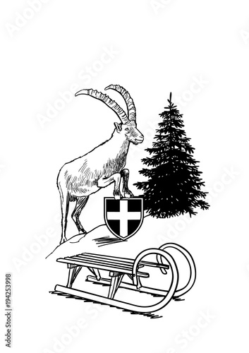 Chamois