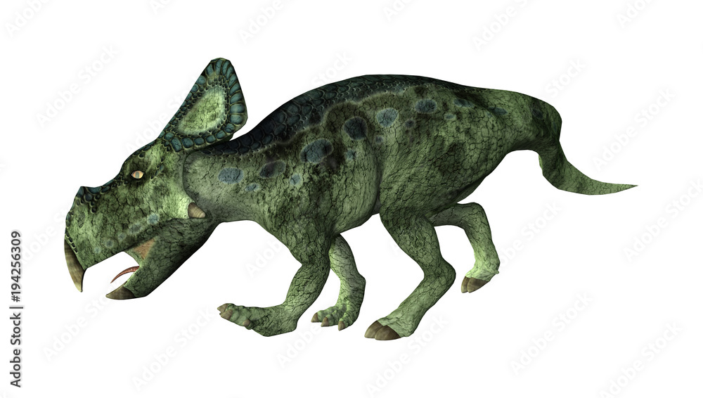 3D Rendering Dinosaur Protoceratops on White 3D Rendering Dinosaur Protoceratops on White