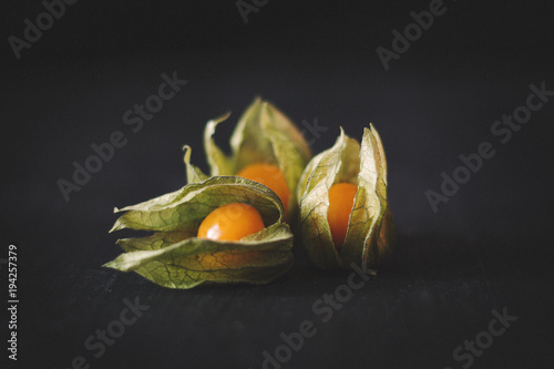 Physalis auf schwarzem Holz