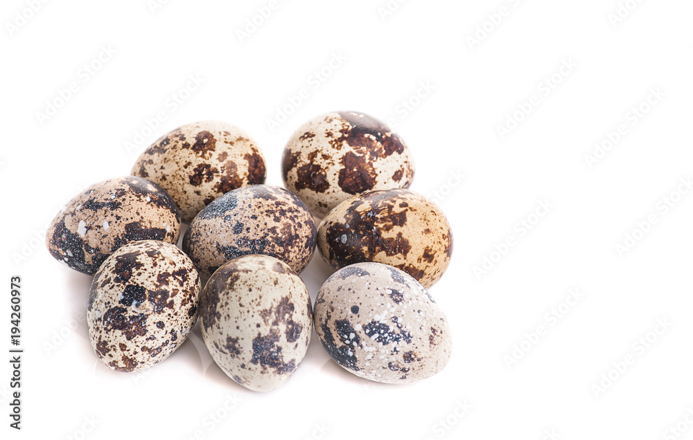 Obraz premium easter eggs