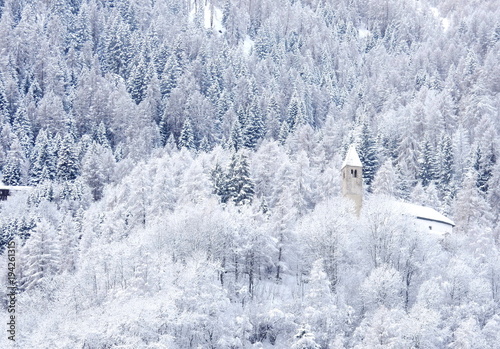 inverno in trentino photo