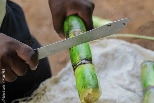  Cleaning of sugar cane