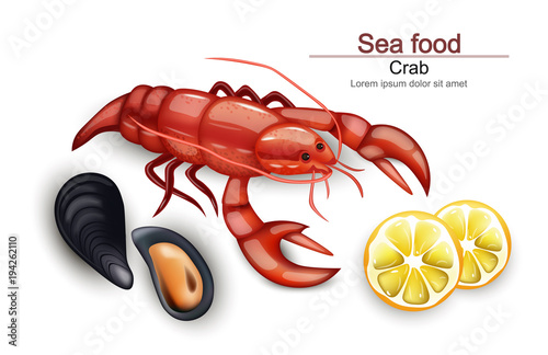 Seafood cancer and mussels Vector realistic on white backgrounds. 3d detailed illustration. Organic templates