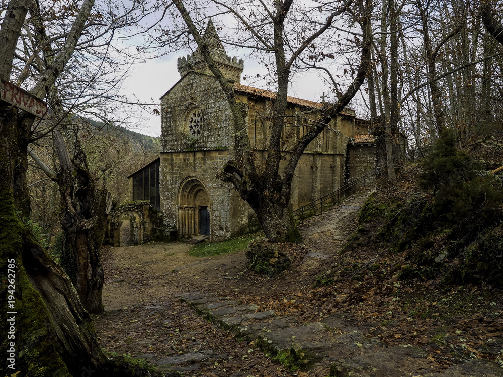 Forest in Santa Cristina de Ribas de Sil