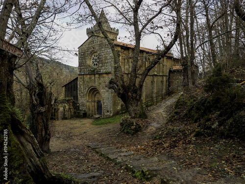 Forest in Santa Cristina de Ribas de Sil