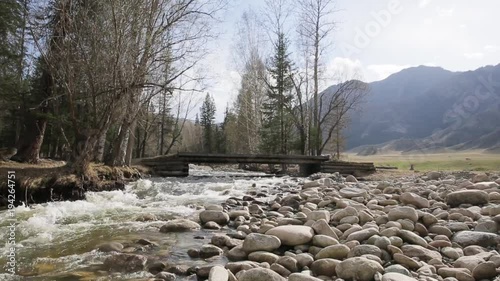 The fast wild river with wooden bridge goes through the bright mountain valley. The forest is on the one side of the pure water and the round stones are on the other. The plaint between the riverside
