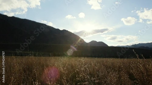 The dried grass is swinng on the wind in autumn mountain valley. The dark hills with forest on are at the backgroung and the sun lights this facsinating natural landscape shining throught the clouds