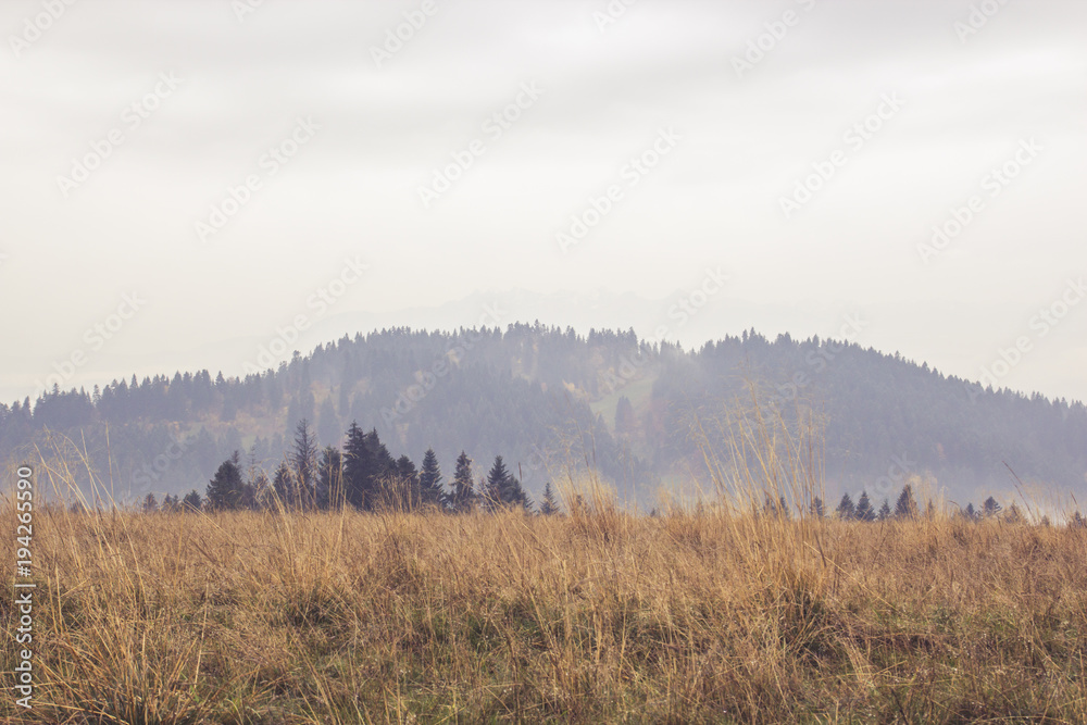 Beautiful autumn landscape with mountains covered with trees and a large dry grass