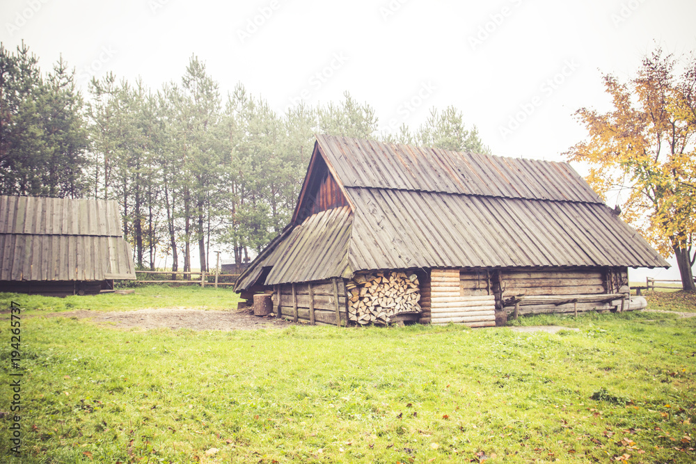 Two wooden house with logs, autumn landscape with trees and yellow and orange leaves on the ground and roof of the house