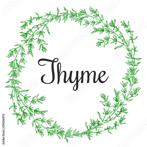 thyme plant wrench