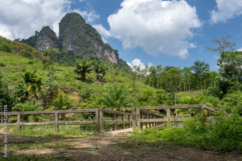 peaks of mountains in the jungle