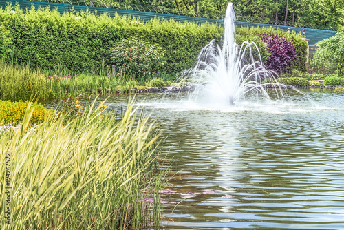 A fountain on a lake in Mezhigirya Park near Kiev. photo