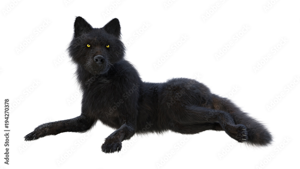 3D Rendering Black Wolf on White 3D Rendering Black Wolf on White