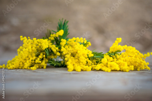 Beautiful spring photo. Yellow mimosa on a wooden background. Background and space for your text.