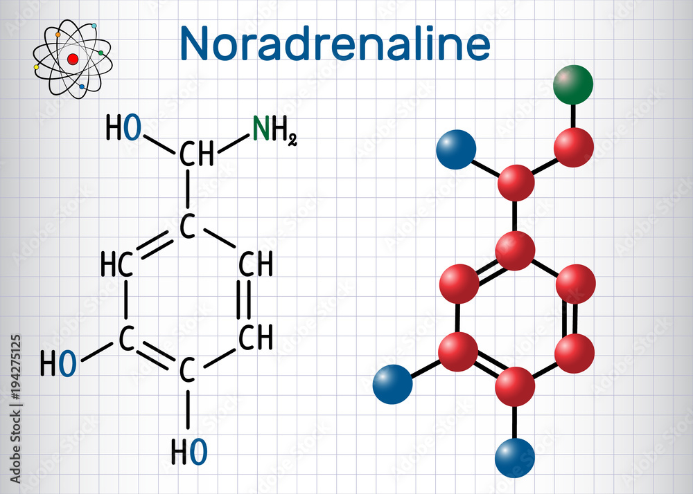 Noradrenaline (NA, norepinephrine , NE ) molecule . It is a hormone and neurotransmitter. Structural chemical formula and molecule model. Sheet of paper in a cage Noradrenaline (NA, norepinephrine , NE ) molecule . It is a hormone and neurotransmitter. Structural chemical formula and molecule model. Sheet of paper in a cage