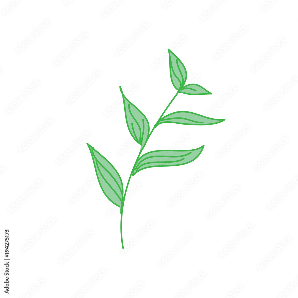 Fototapeta premium Decorative Tropical Leaf Hand Drawn Illustration