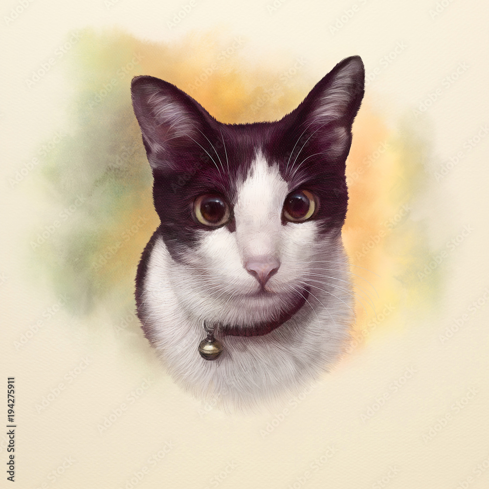 Cute black and white cat with big eyes. Portrait of a cat. Realistic  drawing of a