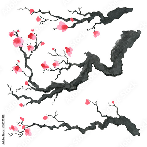 Sakura tree in Japanese painting style. Traditional Beautiful watercolor hand drawn illustration