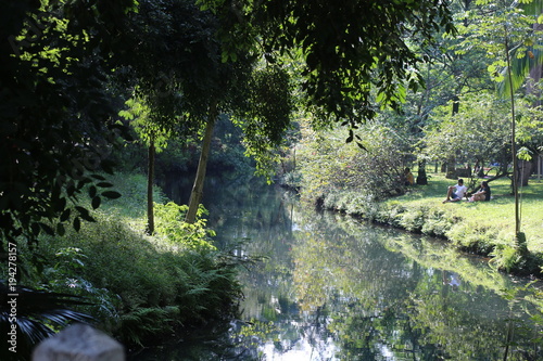 Amazing river forest park