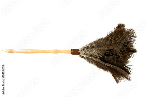 Fotografie Feather duster isolated on white