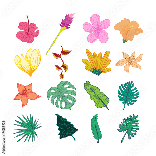 Decorative Tropical Flower And Leaves Hand Drawn Illustration