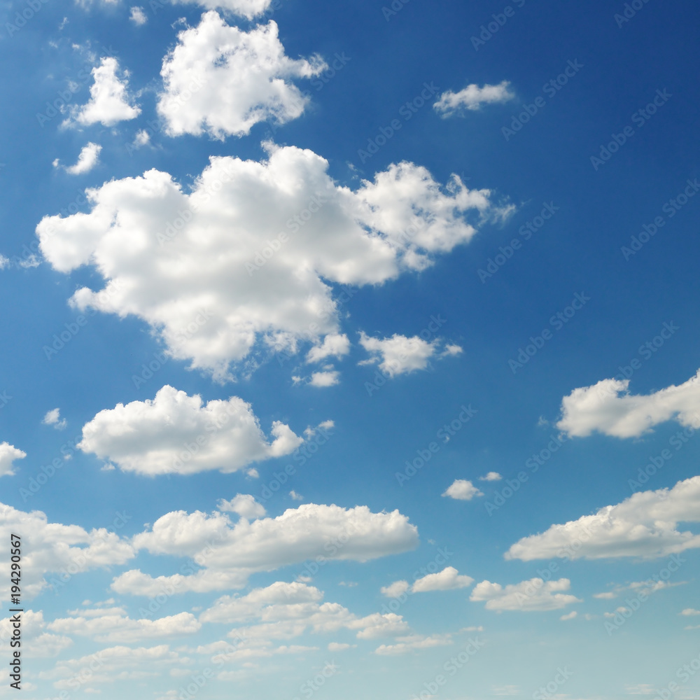light clouds in the blue sky light clouds in the blue sky