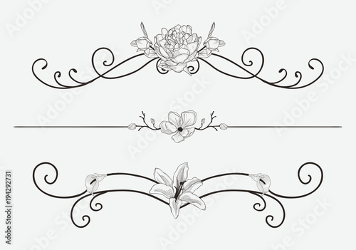 Vector Black Floral Dividers with Flowers and Swirls