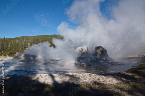 Grotto Geyser in Yellowstone National Park in Wyoming in the USA 