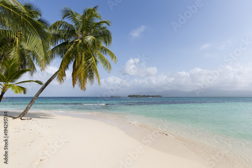 Fototapeta Naklejka Na Ścianę i Meble -   Beach in San Blas Islands, Panama