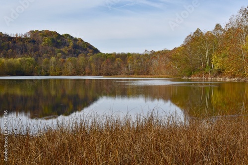 Lake landscape with reflected trees