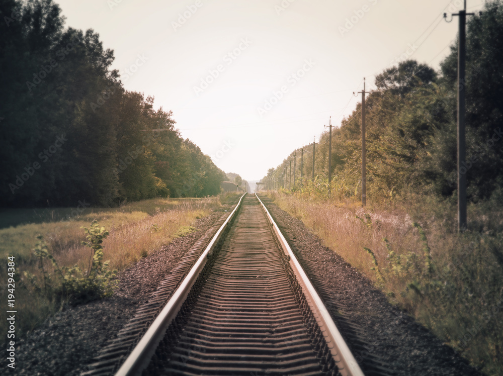 Fototapeta premium Railway rails of stretching into the distance