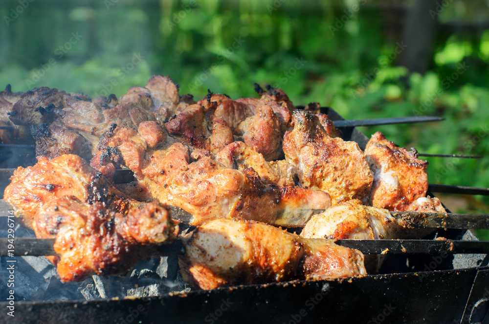 Barbecue, fried meat on charcoal, Soft focus, bokeh