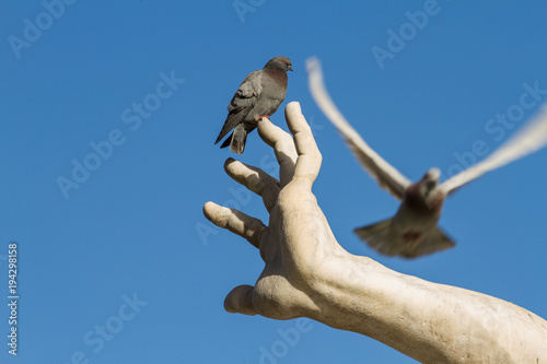 The hand of the Rio de la Plata God of the Fountain of the Four Rivers, Rome, Italy photo