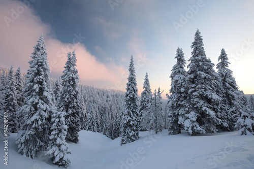 Winter landscape at dawn 