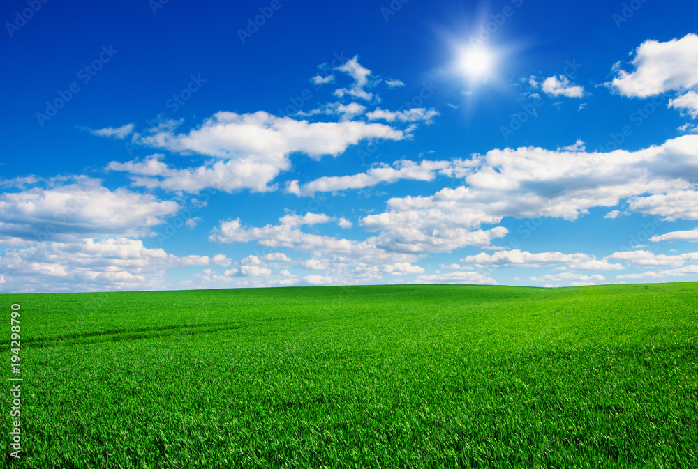 Image of green grass field and bright blue sky