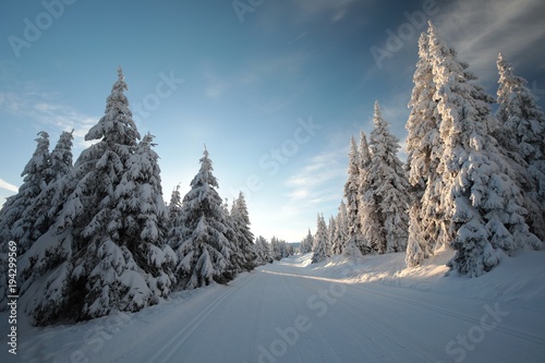 Winter lane in the mountains at dawn