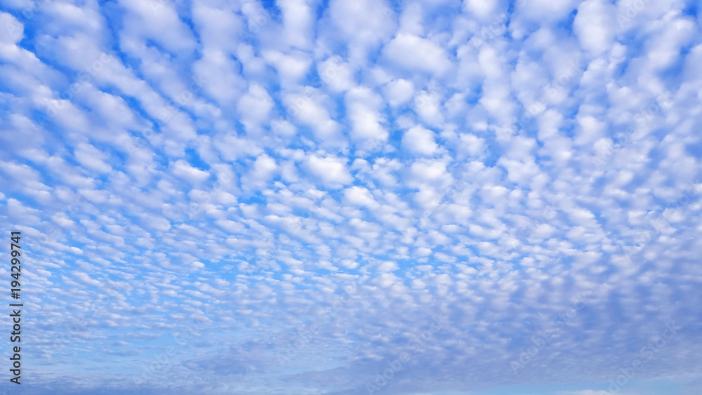 Obraz premium Beautiful cloud in the morning