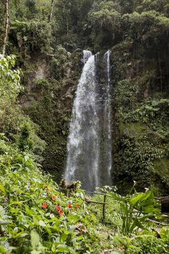 Waterfall in a cloud forest near Boquete  Panama. Accessible by Lost Waterfalls hiking trail