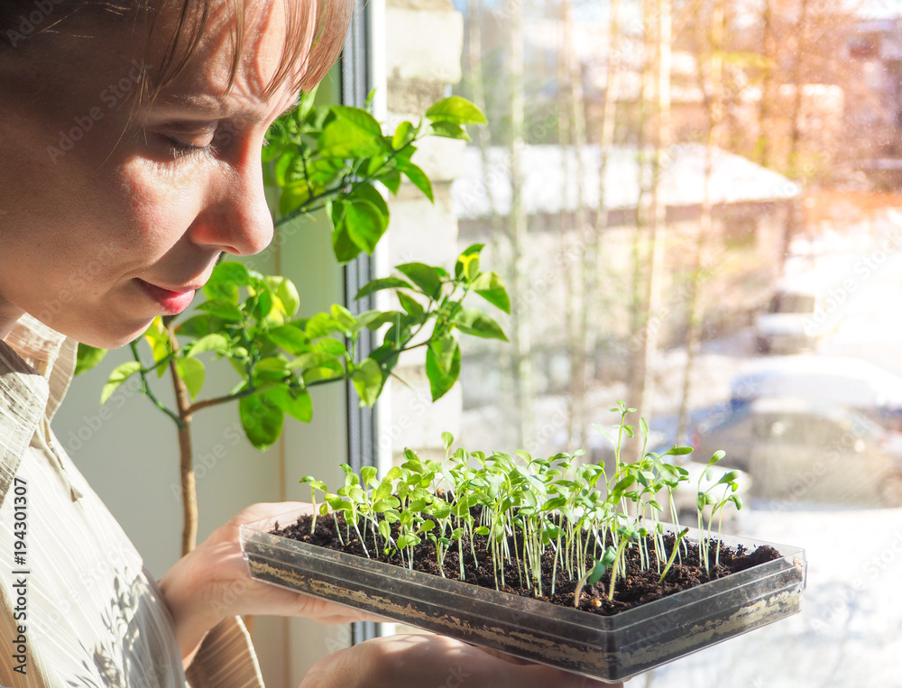 A beautiful woman gardener holds seedlings of young plants in her hands. Spring landing of plants.
A beautiful woman gardener holds seedlings of young plants in her hands. Spring landing of plants.