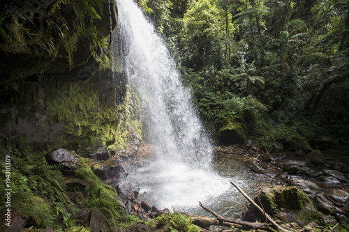 Fototapeta Naklejka Na Ścianę i Meble -  Waterfall in a cloud forest near Boquete, Panama. Accessible by Lost Waterfalls hiking trail